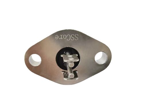 Δοκιμή Διαρροής 4MPa Πίεση N2 Χωρίς Διαρροή Αντίσταση Υψηλής Τάσης 2000VAC Σφραγίδες Γυαλιού-Μετάλλου Σχεδιασμένο με Ακρίβεια για Βιομηχανική Χρήση